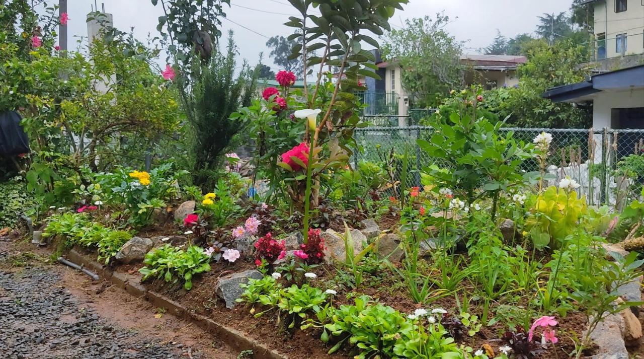 Townside Lodge Nuwara Eliya Kültér fotó
